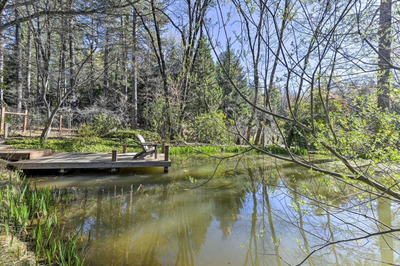 Peaceful Grass Valley Cottage With Bbq Grill And Yard! Екстериор снимка