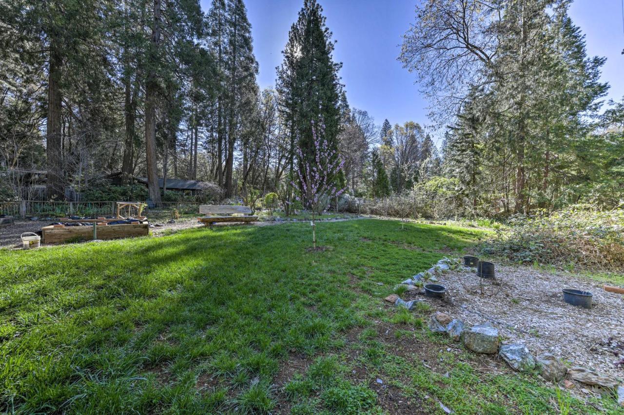 Peaceful Grass Valley Cottage With Bbq Grill And Yard! Екстериор снимка